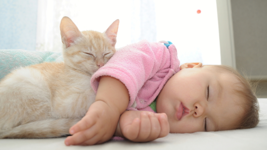 För såväl människor som däggdjur är en god REM-sömn när man är liten viktigt för hjärnans utveckling. Foto: Shutterstock